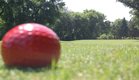 Red golf ball in greens 