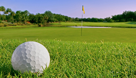 Golf ball in greens 